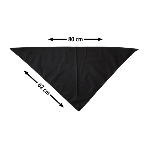 "Hardcore is more than Music" Bandana / Dreieckstuch
