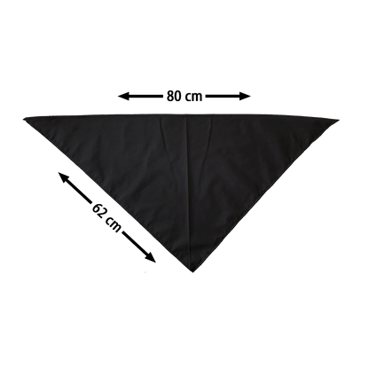 "Hardcore is more than Music" Bandana / Dreieckstuch